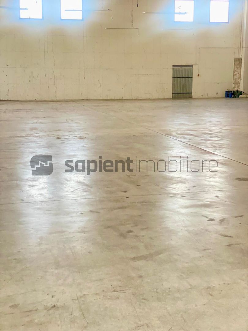 Sapient | Hală situata în com. Borș - Poză 12