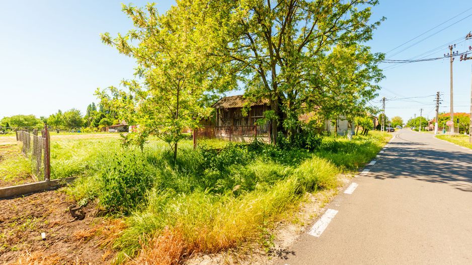 Casă cu potențial în Iratoș - Poză 14