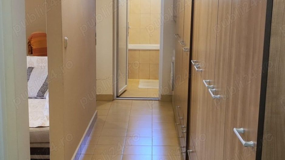 Apartament cu 1 camera Sagului-Elisabetin - Poză 2