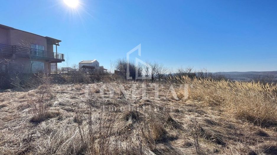 Teren cu potential de investitie 2430 mp si drum de acces - Poză 4