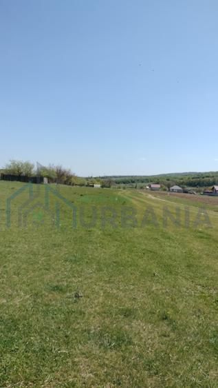 Teren extravilan 7.200 mp, Bordea - Grajduri, oportunitate investiție - Poză 2