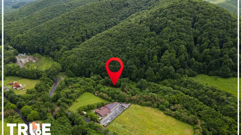 Teren intravilan 2.800 m² în Câmpu Cetății – liniște și natură - Poză 10