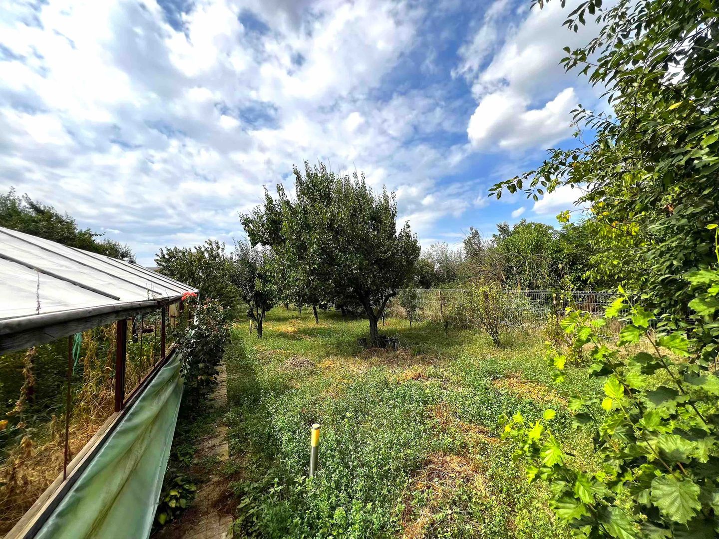 Vila Dragomiresti-Vale 167mp | 1.015mp teren - Poză 2