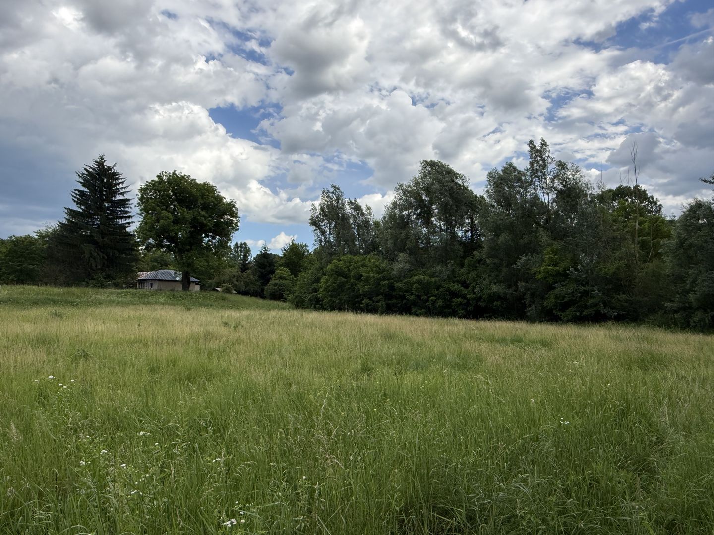 Teren plat-intravilan -3800 mp, cu pădurice și ieșire la râu! - Poză 1
