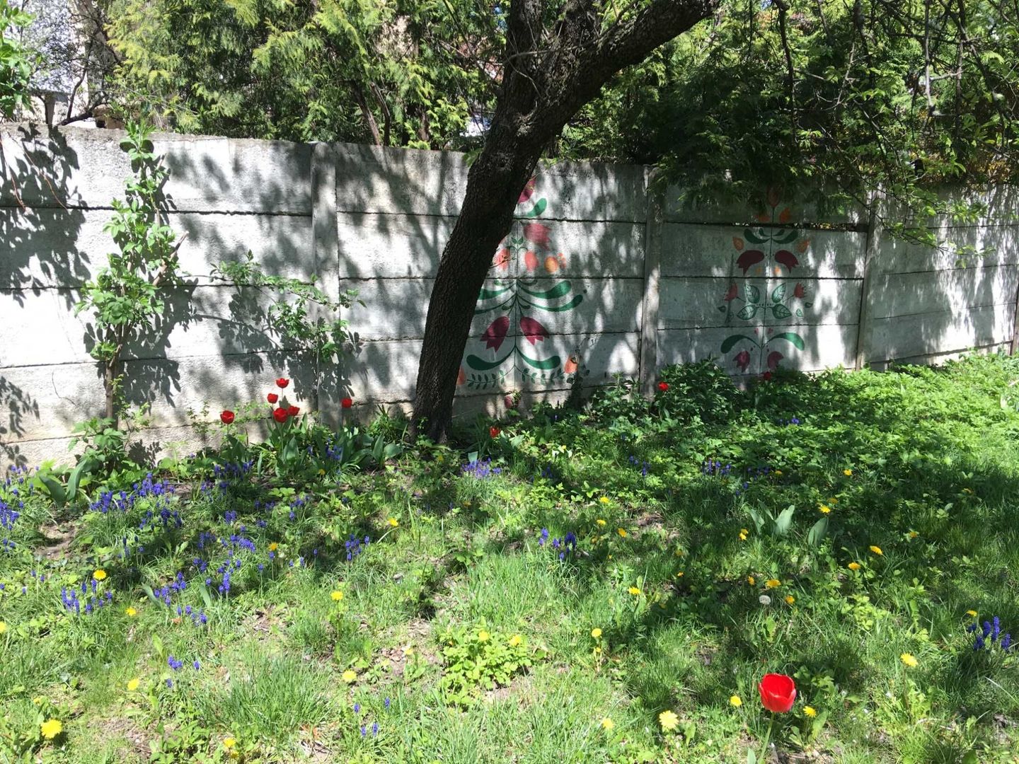 Casa in zona centrala Brasov - Poză 7