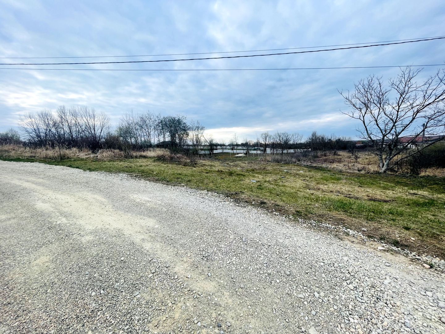 Teren Intravilan cu Front Dublu în Paleu - Poză 1