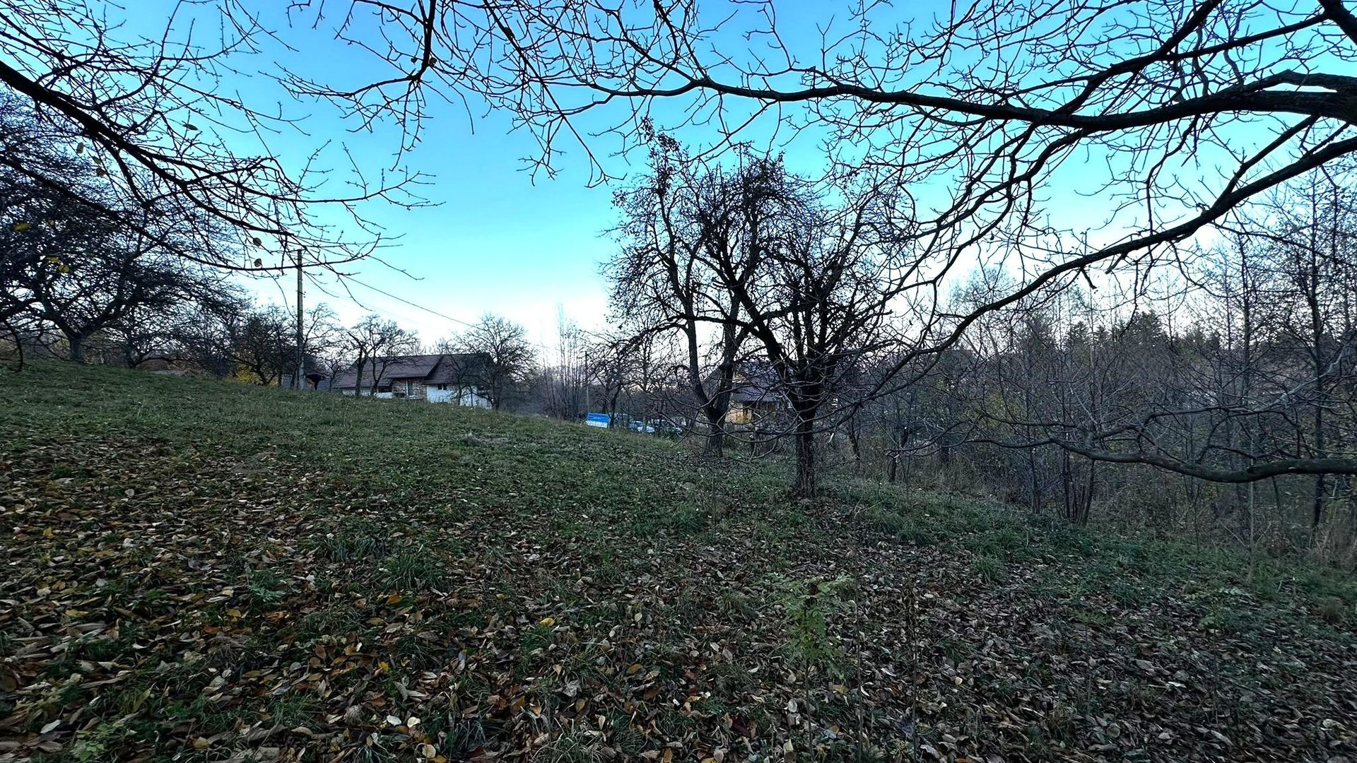 Teren Intravilan cu 2 Deschideri 4000mp Predelut-Bran | GOPO - Poză 8