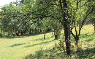 Poiana Sohodol I 5600 MP I Trei corpuri cladiri I Utilitati - Poză 77