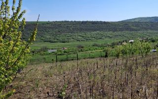 Teren de vânzare, 1074 mp, acces ușor. Zona Copou Iași! - Poză 4