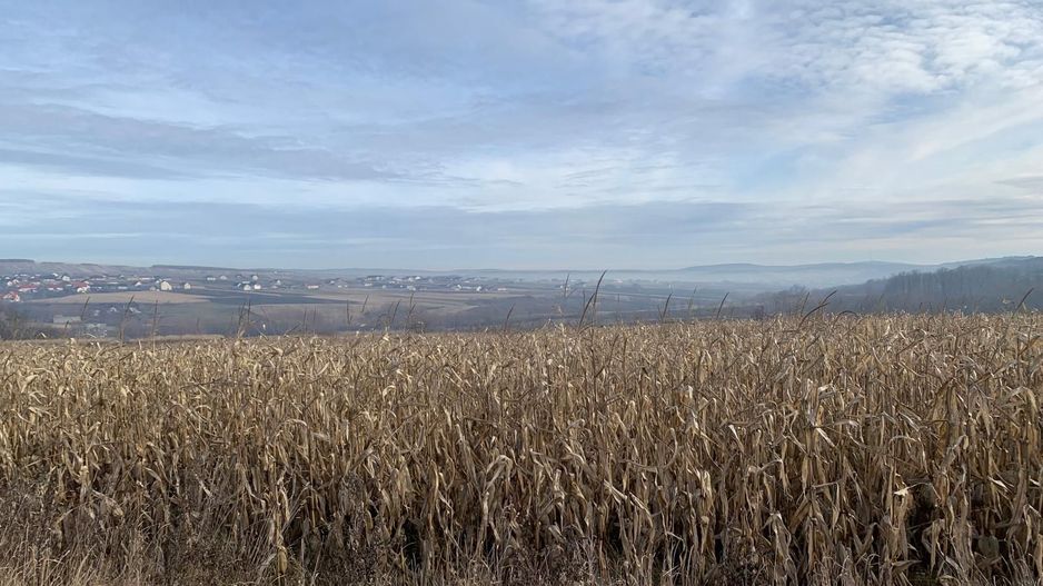 Teren intravilan de vânzare | Cajvana | 7.800 mp - Poză 5