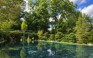 DREAM VILLA by the forest SPA POOL - Poză 1