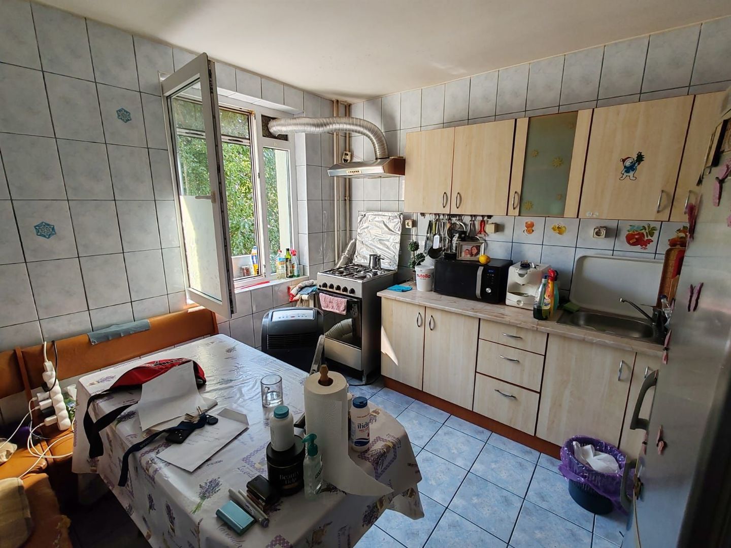 Apartament 2 camere Ozana / Theodor Pallady - Poză 3