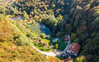 Domeniu în satul Căprioara - Poză 5