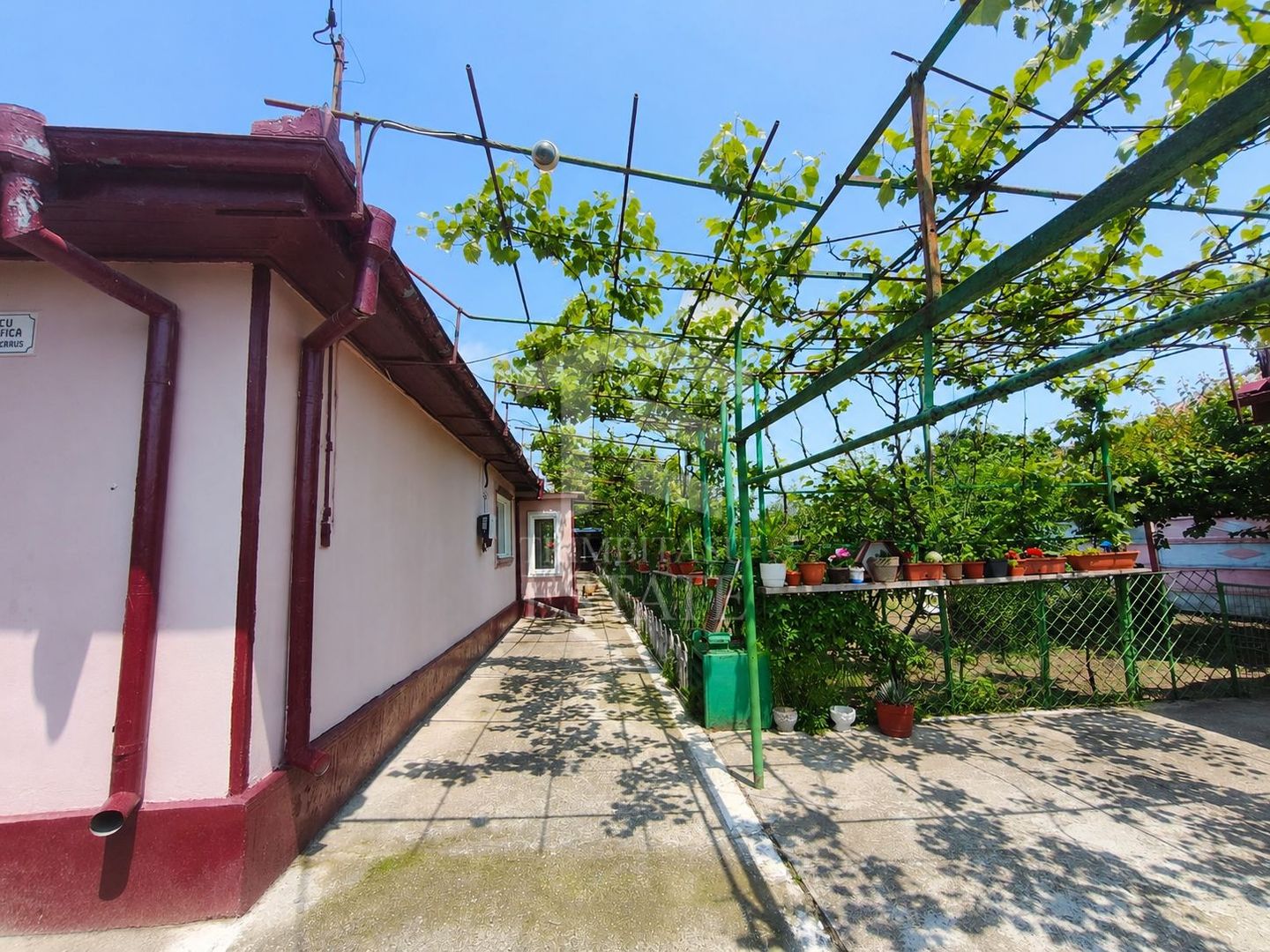 CASA  POIANA | PANOURI SOLARE | TEREN 800 MP - Poză 1