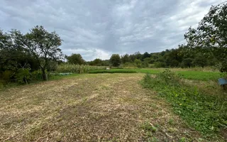 Proprietate de vânzare | 15 km de Onești, DN11 – direcția Bacău - Poză 12