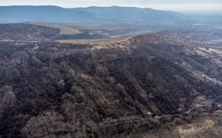 Teren în Ghioroc pe deal - Poză 3