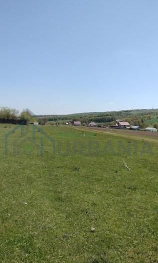 Teren extravilan 7.200 mp, Bordea - Grajduri, oportunitate investiție - Poză 1
