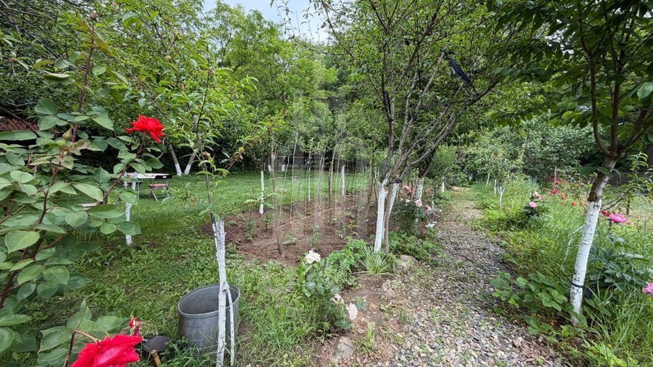 OCAZIE RARĂ - Teren cu cabană de vânzare lângă Lacurile Naturale - Ocna Sibiului - Poză 11