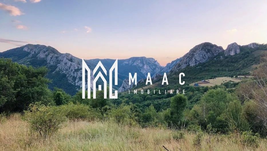 BLACK FRIDAY  I Teren cu potențial turistic I 3174 MP | TransApuseana - Poză 2