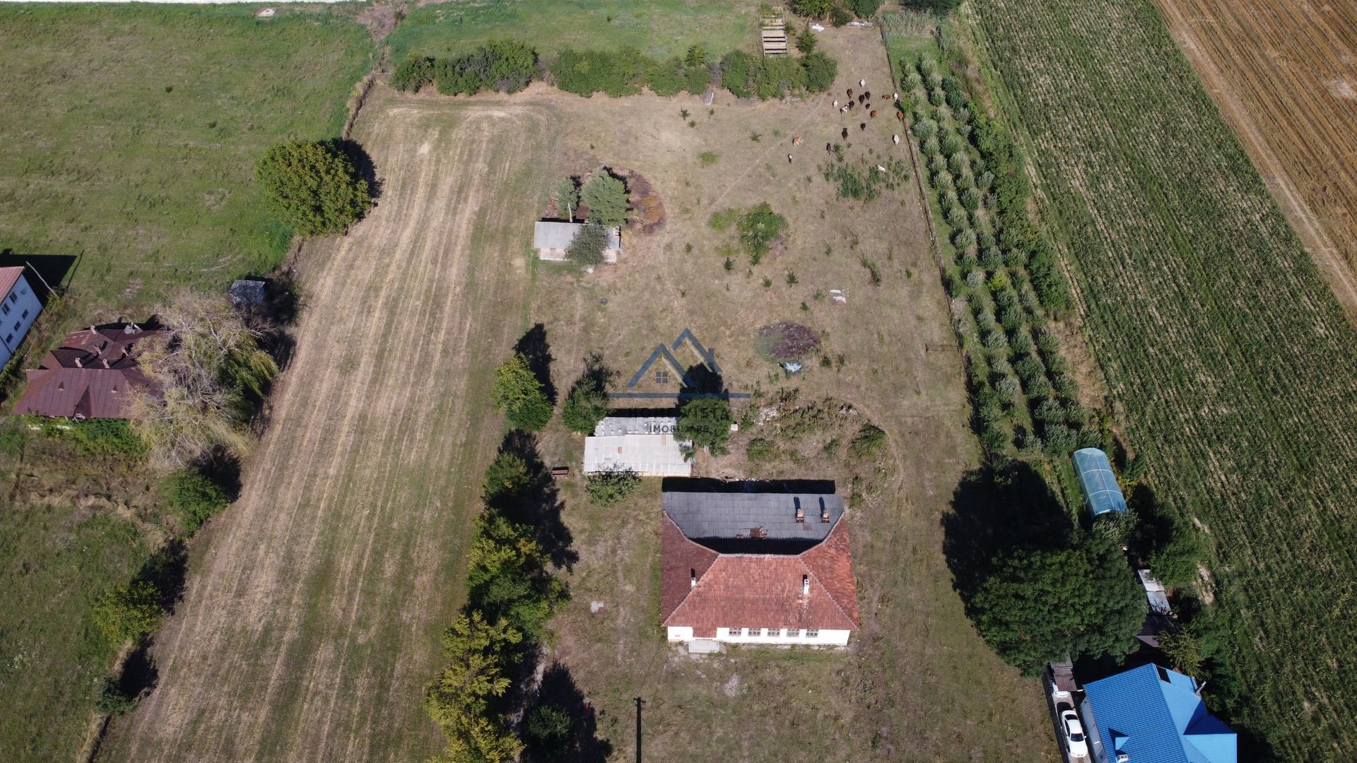 Teren 1,3 ha, Hala productie de vanzare Baiculesti - Curtea de Arges - Poză 1