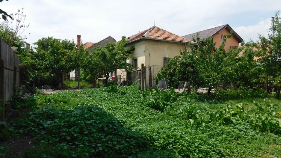 Casă cu arhitectură deosebită de vânzare, cu 800 mp teren, lângă Dedeman - Poză 7