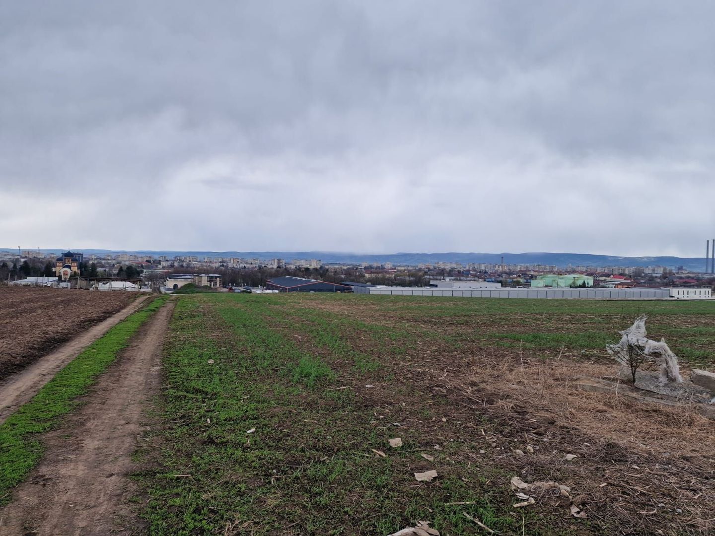 Teren 10,000mp Bacau / Strada Alexandru Safran - Poză 6
