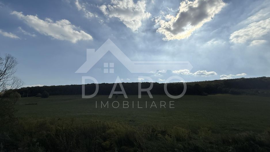 Teren intravilan budiu mic 9700 m², perfect pentru complex rezidențial - Poză 3