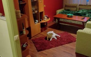 Apartament cu 4 camere/ 93mp/ zona Alexandru cel Bun - Poză 3