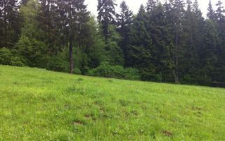 Teren intravilan Cotul Donului,pretabil Hotel/pensiune. - Poză 1