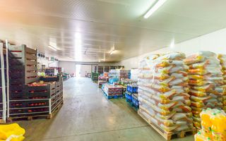 Hală frigo de vânzare în Săcălaz - Poză 6