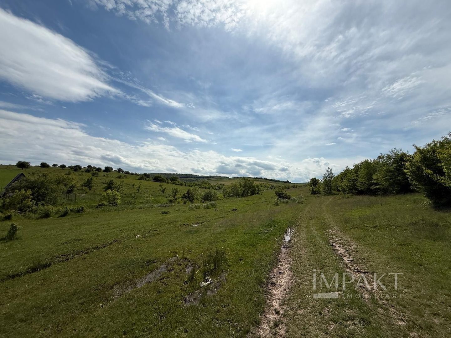 Teren de vânzare în Salistea Noua! - Poză 2