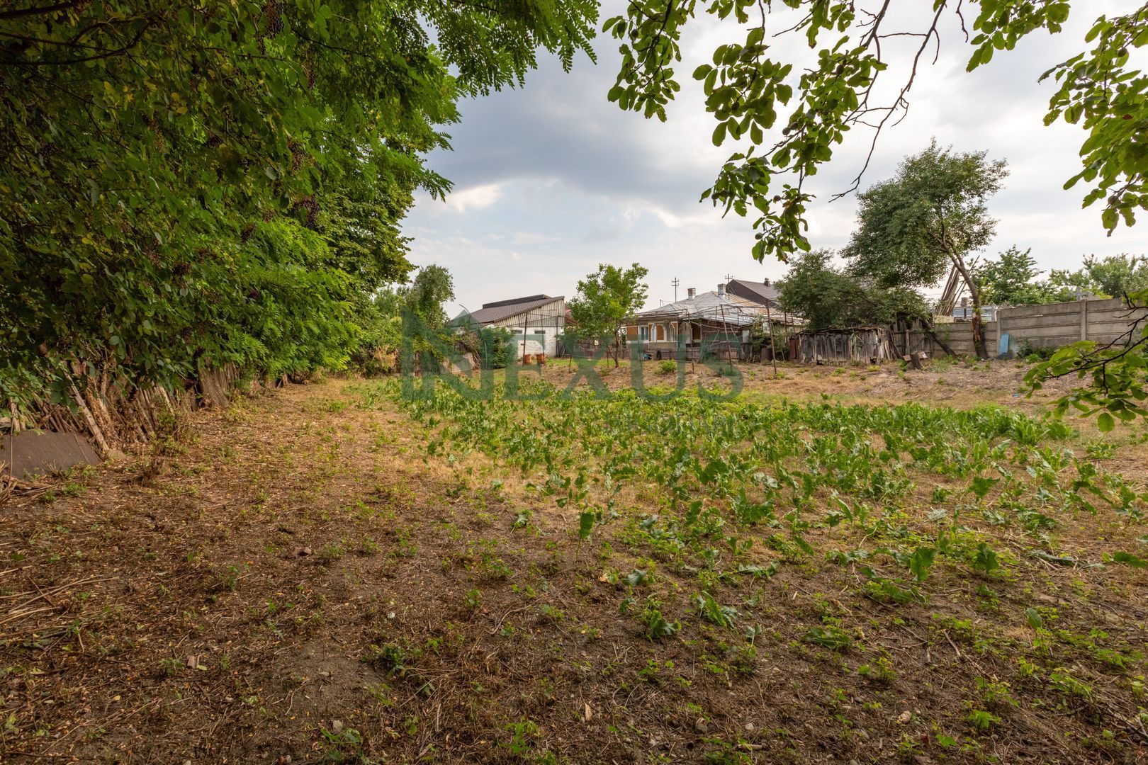 TEREN 949 MP CU CASĂ – STR. MILITARI, BACĂU | OCAZIE RARĂ - Poză 9