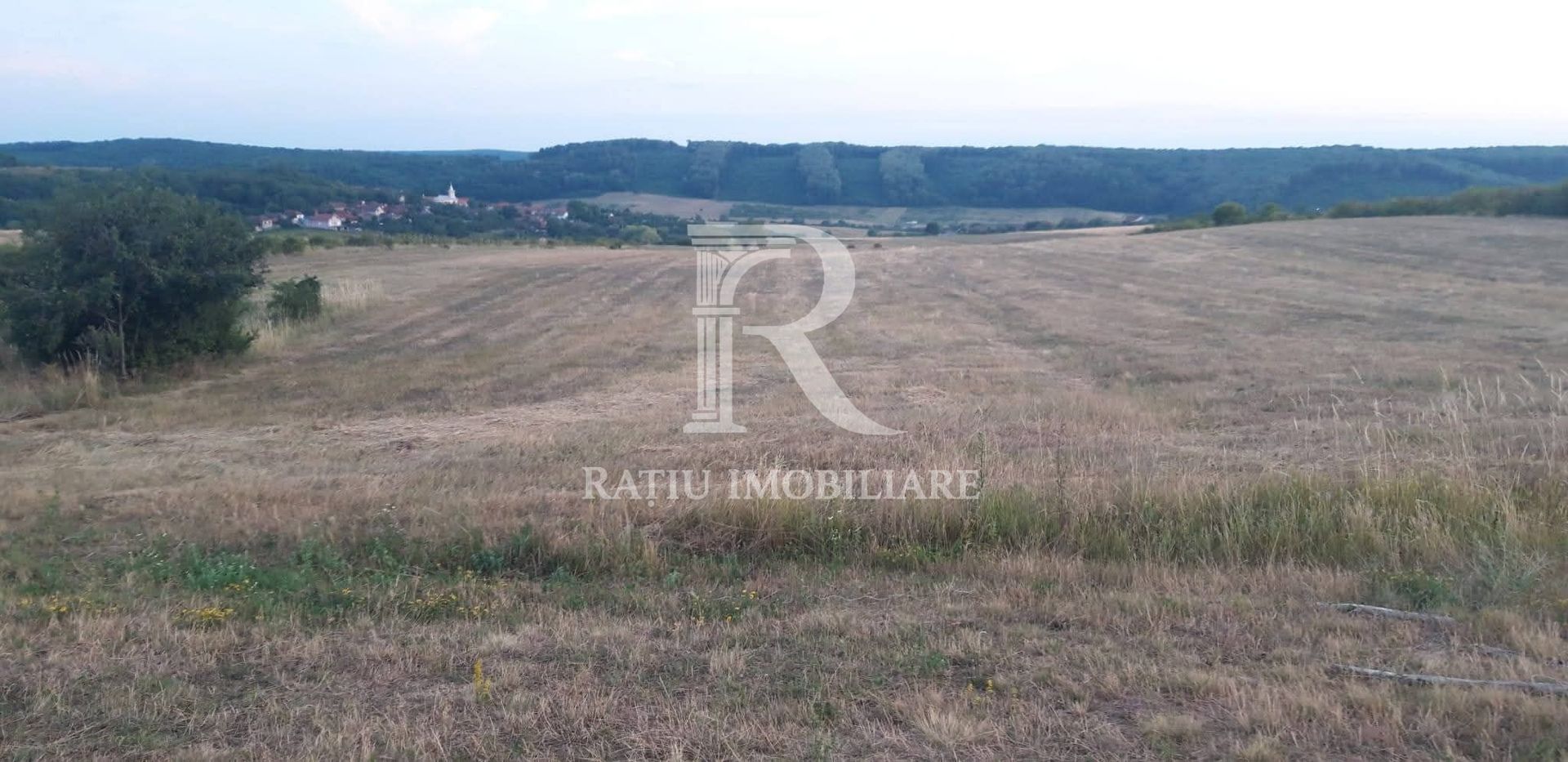 Teren extravilan | Betfia | 9664 Mp | Bihor - Poză 2