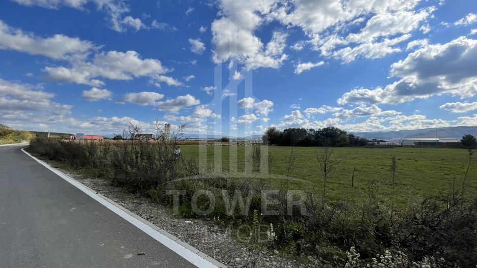 Teren industrial de vânzare în Cristian – 6.000 mp, deschidere la drum asfaltat - Poză 4