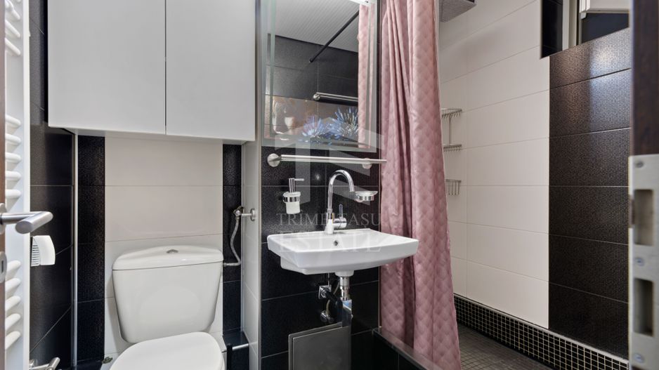 Apartament 2 Camere | Renovat Complet | Mobilat + Utilat Lux | Sagului - Poză 10