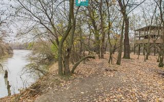 Teren spectaculos la  Periam Port - Poză 9