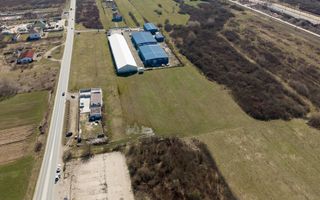 Teren extravilan de 7.000 mp lângă Păltiniș - Poză 5