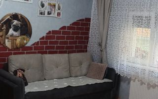 BRASADAS vinde ap 2 cam la PARTER in Micro 16. - Poză 1