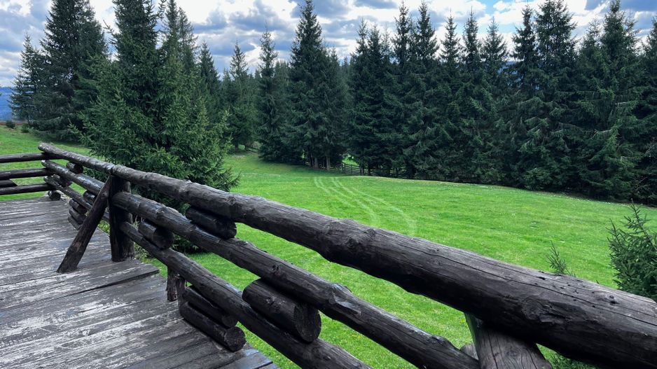 Cabana Exclusivista de vanzare in Belis - Cluj + 14.715 mp teren - Poză 8