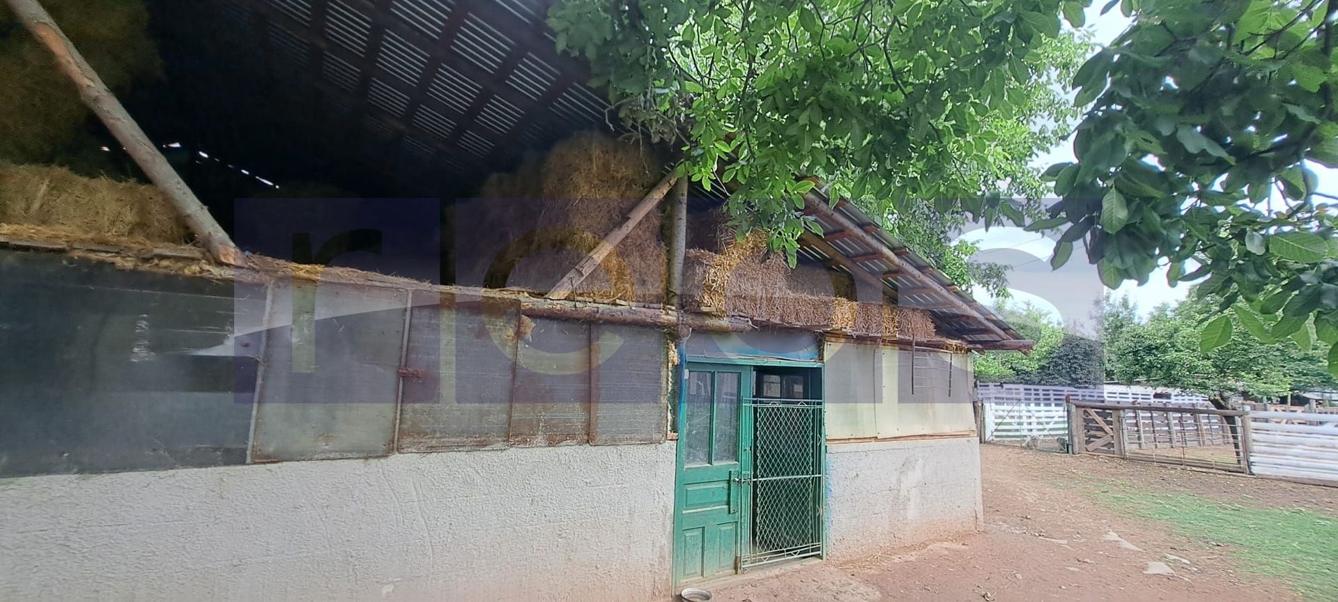 VANZARE CASA | TEREN 2.500 MP | LIVADA SI GRADINA | COMUNA BEUCA, TELEORMAN - Poză 4