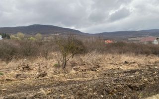 Teren 12,719 mp cu deschidere la DN17-ideal hala/parcare-Crainimat - Poză 4