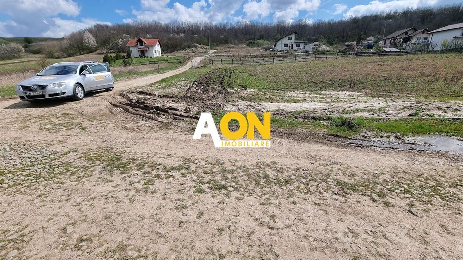 Teren 600mp Ciugud, Strada Iluminata Public - Poză 2