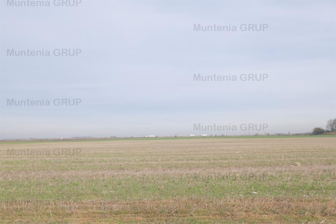 Unicat ! A3 Gherghita - 27 Ha. teren intravilan cu PUZ aprobat - Poză 5