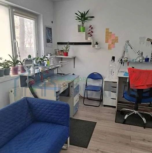 Spațiu comercial 40 mp, parter, 2 intrări, Mircea cel Bătrân, Iași - Poză 5