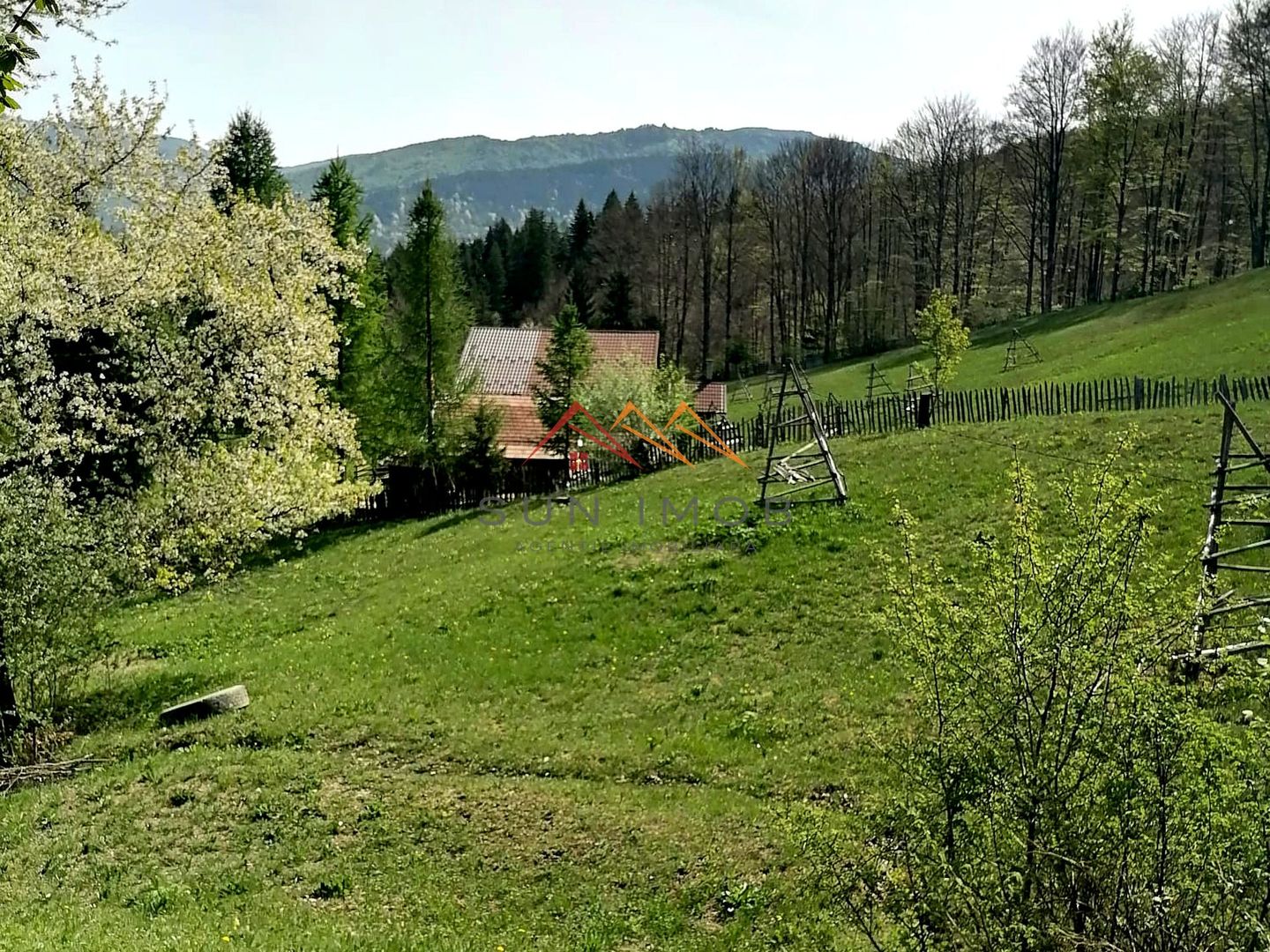 Teren Extravilan 23000 mp-potential turistic Valea Doftanei - Poză 4