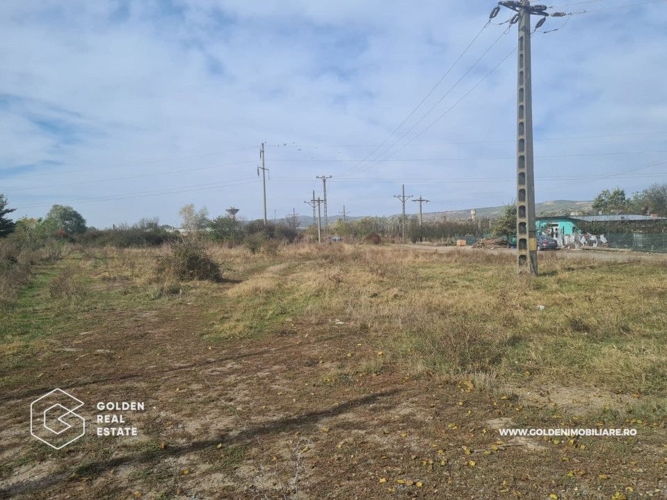 Teren intravilan, 4600 mp, Lipova - Poză 1