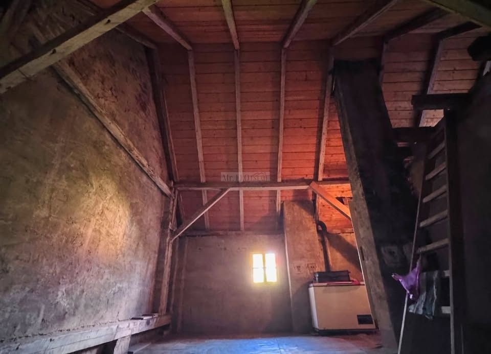 Vila Istorica de vanzare in Centru Timisoara 300 mp utili COMISION 0 - Poză 5