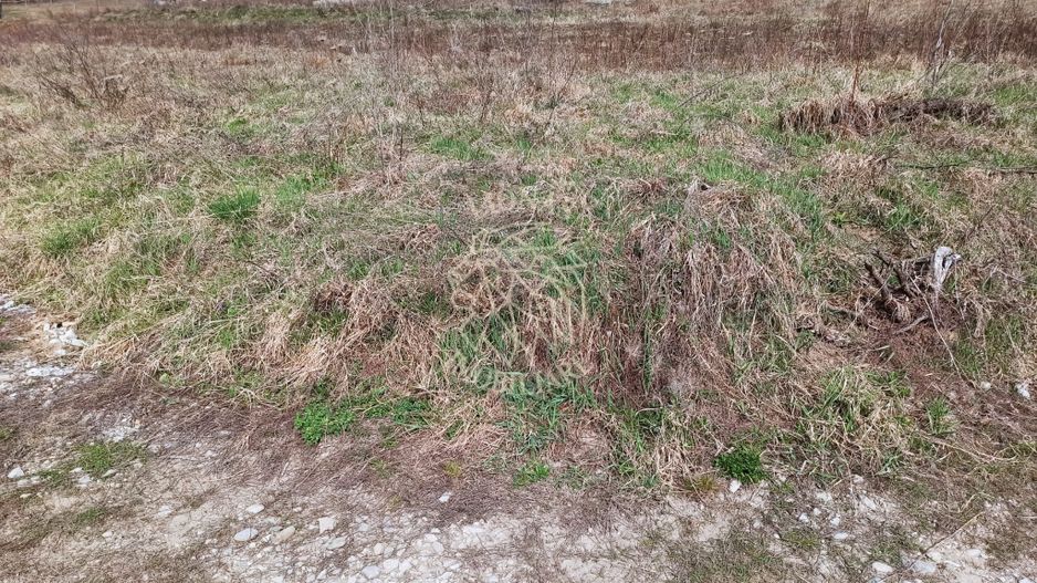 Teren intravilan 500 mp-ideal casa-Zona Dr. Tarpiului - Poză 4