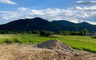 Teren de vanzare Alexandru cel Bun 20.000 Euro 735mp - Poză 7