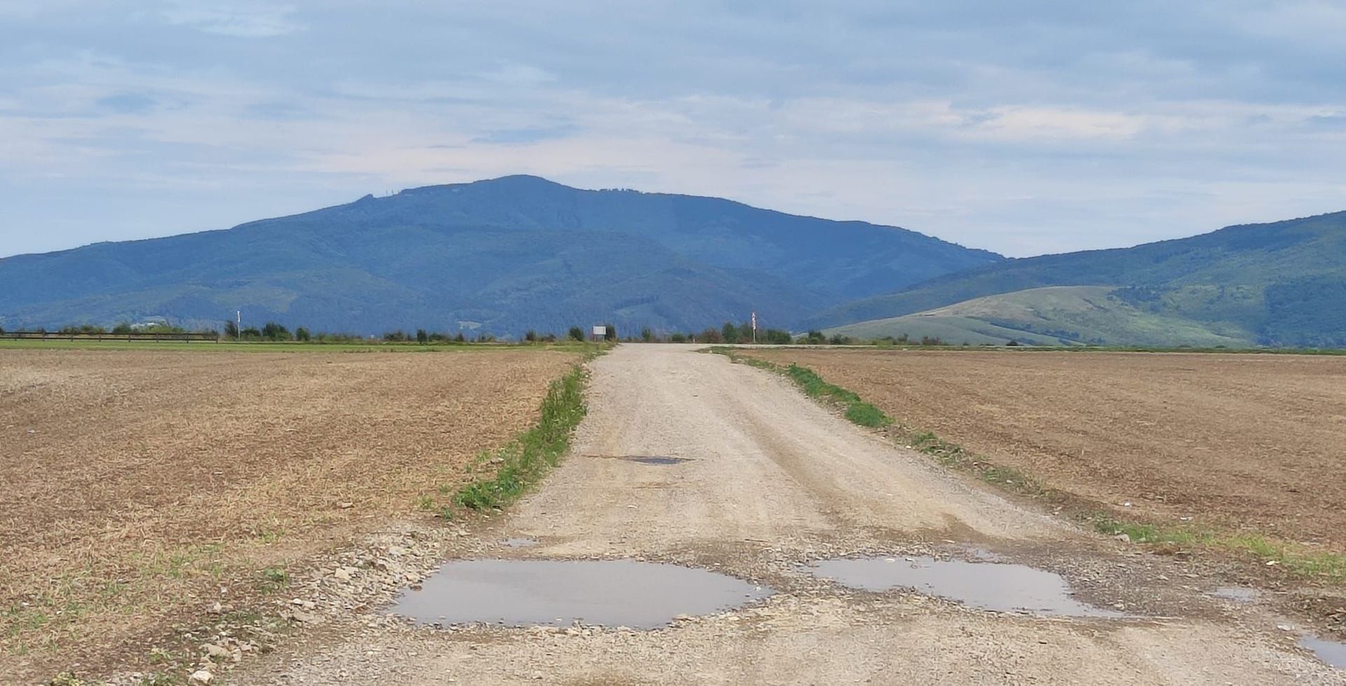 Carpinis, 10000mp-arabil, 25000Euro - Poză 4